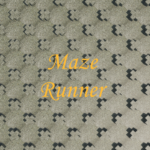 Maze Runner Introduction